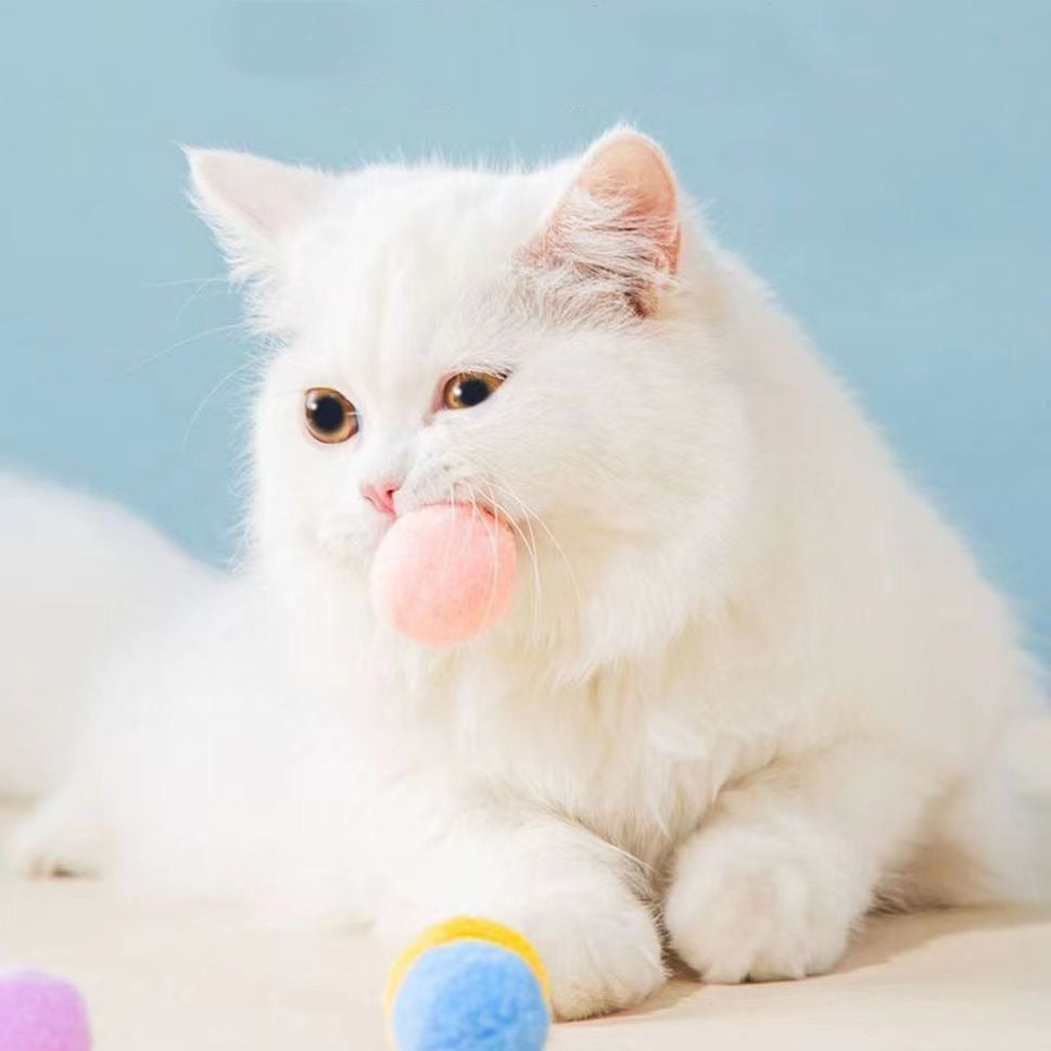 ปอมกำมะหยี่ แพ็ค10ชิ้น ของเล่นแมว คลายเครียดแมว cat toys ปอมปอมตกแต่ง ลูกบอลผมสีสันสดใสเด้งสูง DIY 3cm คละสี รวมสี